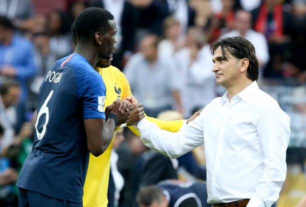 量身定制的 量身定制的