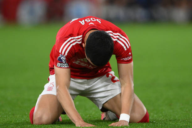 及草皮种类 及草皮种类